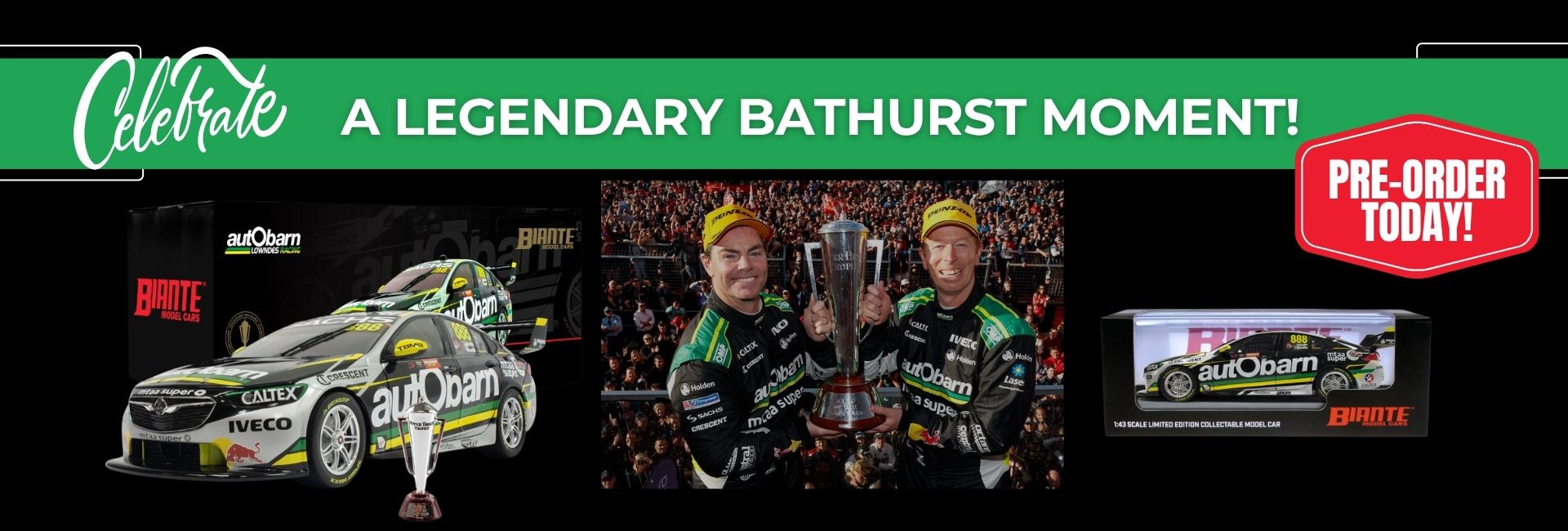 2018 BATHURST WINNER