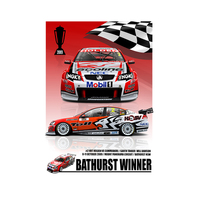 2009 Bathurst Winning Print
